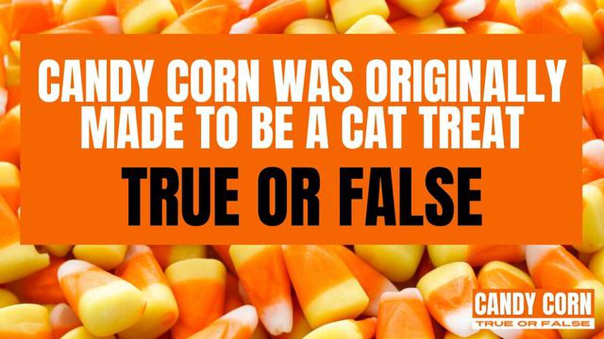 Candy Corn True Or False image number null